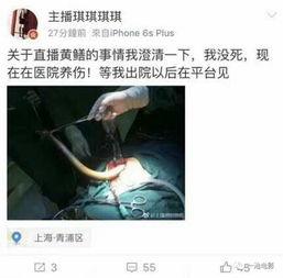 这么看黄鳝女主播网址,网络直播的道德边界与法律挑战